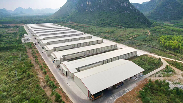 Poultry-farm-in-Guangxi