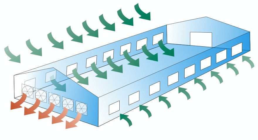 exhaust fan ventilation