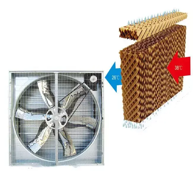 EVAP Cooling Pad And Exhaust Fan Cooling And Humidifying System for Industrial, Agricultural