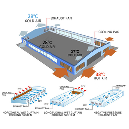 EVAP Cooling Pad And Exhaust Fan Cooling And Humidifying System for Industrial, Agricultural