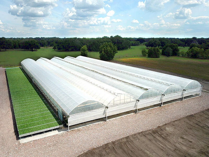greenhouse11