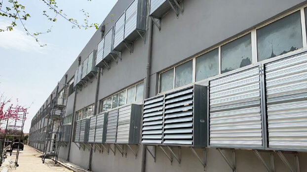 Factory-in-Shandong