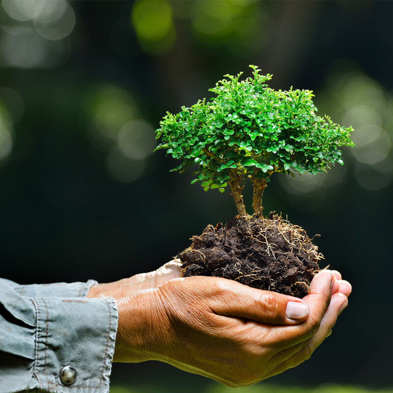 Environmentally3